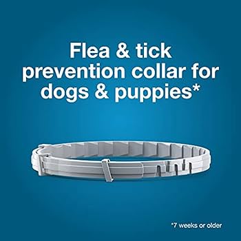 Seresto Flea & Tick Collar for Dogs – 8-Month Protection