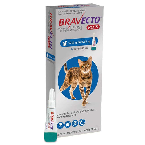 Bravecto Plus for Cats - Comprehensive Flea, Tick & Worm Protection