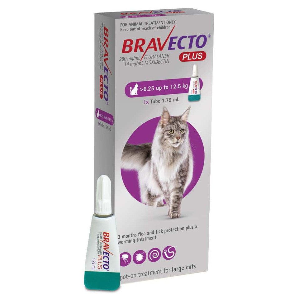 Bravecto Plus for Cats - Comprehensive Flea, Tick & Worm Protection